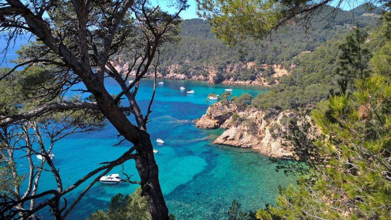 Bandol Nature Et Loisirs: Parking/ Piscine Ngoại thất bức ảnh